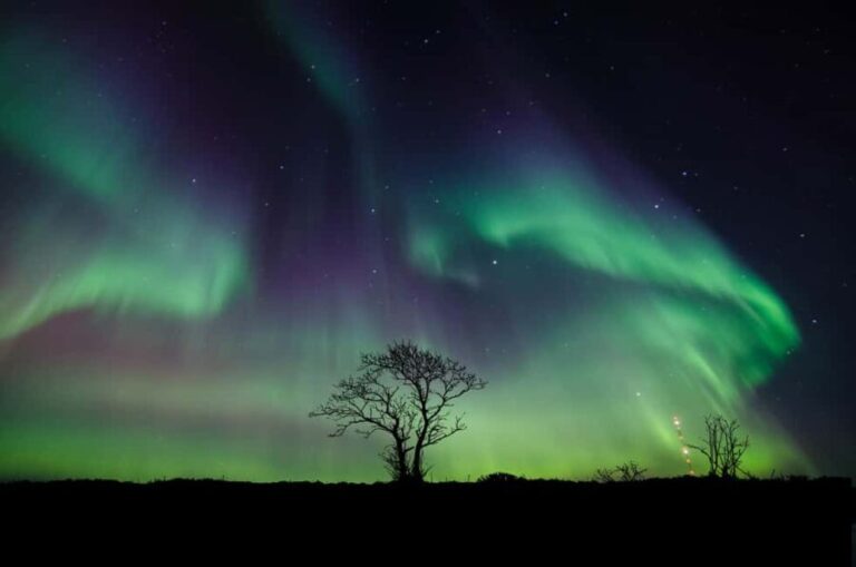 Magic Aurora Borealis Hunting with Photographer - The Wilderness Journey: What to Expect