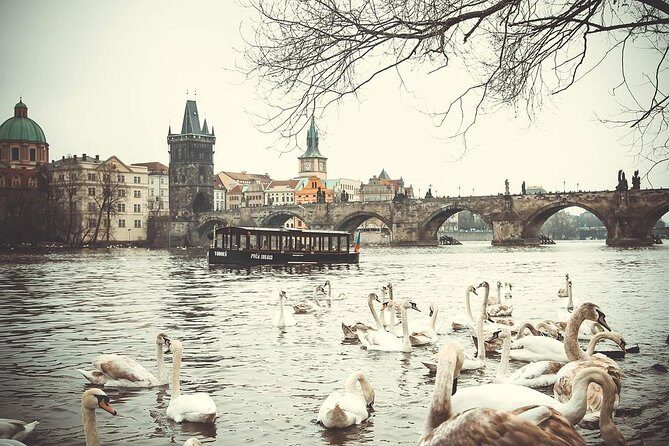Magical Prague Private Half-Day Tour - Who Would Enjoy This Tour?