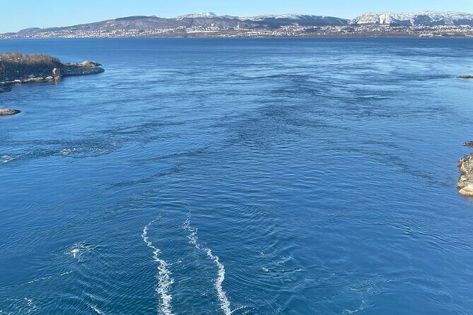 Magical Saltstraumen Tour - Value for Money: Is It Worth It?