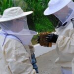 Magical World of Beekeeping on São Miguel Azores Private Tour - The Tour Experience: Details and Value