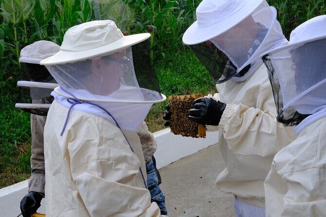 Magical World of Beekeeping on São Miguel Azores Private Tour - The Tour Experience: Details and Value