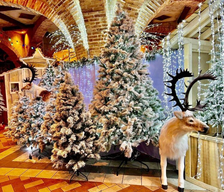 Magicland Amusement Park : Magic Christmas Entry Ticket - Navigating the Ticket and Entry Process