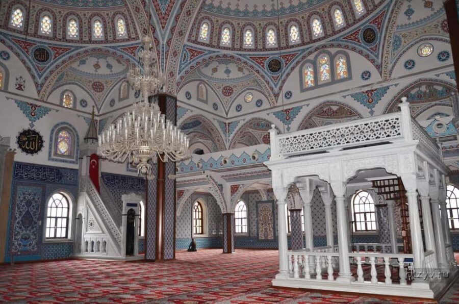 Magnificent Combo: Cabrio Safari and Green Canyon Boat Tour - The Transport and Practicalities