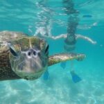 Mahina Hawaii Full Day Adventure - How Does the Itinerary Unfold?