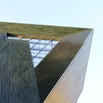 Mainz: Private Walking Tour With Professional Guide - Who’s It Best For?