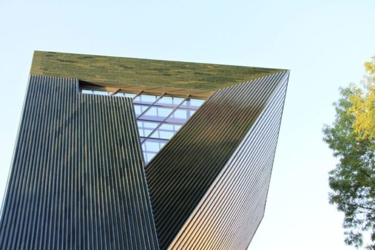 Mainz: Private Walking Tour With Professional Guide - Who’s It Best For?