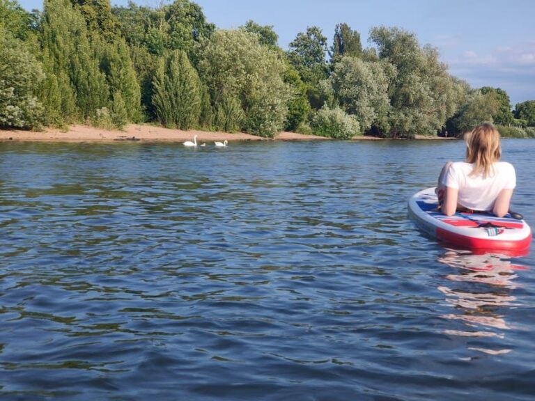 Mainz: Stand Up Paddling Tour on the Rhine River - Who Should Consider This Tour?