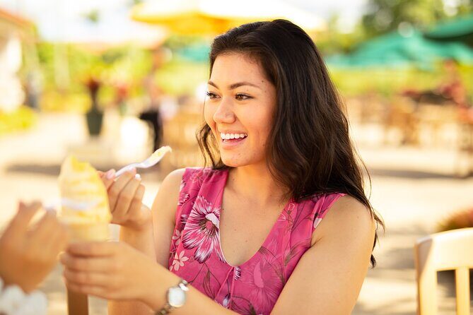 Majestic Circle Island Tour with Lunch - What We Think About the Experience