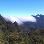 Majestic West Tour and Fanal Forest - Final Thoughts: Who Will Love This Tour?