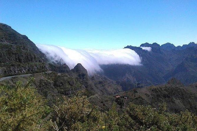 Majestic West Tour and Fanal Forest - Final Thoughts: Who Will Love This Tour?