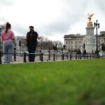 Majesty in Motion: Exploring Westminster's Royal Legacy - Nelson’s Column and the Surroundings