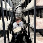 Makars Mushroom Farm Summerhall Tour with DIY Block Making - The Practical Details