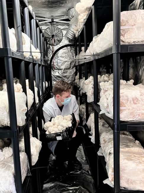 Makars Mushroom Farm Summerhall Tour with DIY Block Making - The Practical Details