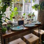 Make Your Own Terrarium in a houseplant paradise - Is It Worth the Price?