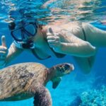 Makena Turtle Town Eco Adventure in Maui - The Marine Wildlife You Might Encounter