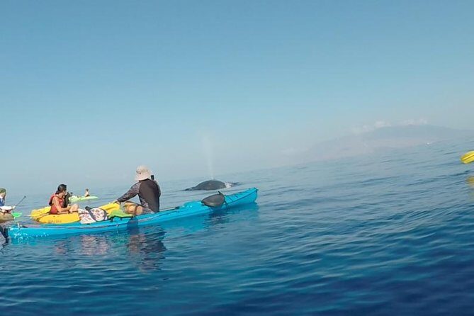 Makena Whale Watching and Snorkel - Real Experiences from Past Participants