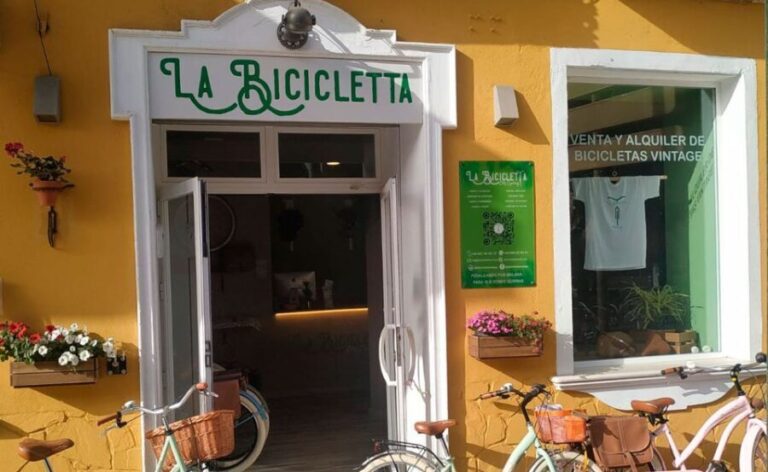 Malaga: Bike Rental for City Discovery Route & Beaches - Who Would Love This Experience?