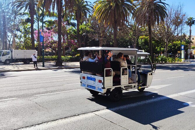 Malaga by Tuk Tuk i : 1 or 2 hours Private city tour - Is This Tour Worth It?