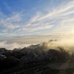 Málaga: Dolmens and El Torcal de Antequera Guided Day Trip - Considerations and Potential Drawbacks