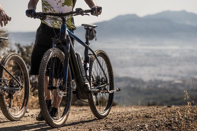 Malaga E-MTB Tour: Botanical Garden, Natural Park and Port of Malaga - Who Is This Tour Best For?