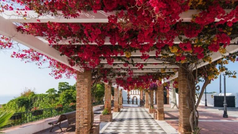 Malaga: Frigiliana & Nerja Tour with Local Product Tastings - How the Experience Adds Up