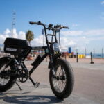 Malaga: Guided E-Fatbike Tour with Panoramic Views - Pricing and Overall Value