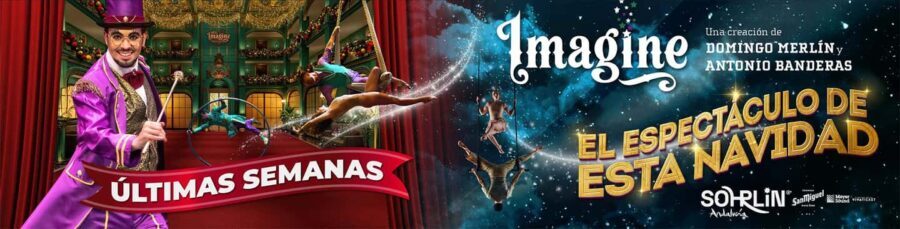 Málaga: Imagine Show Admission Ticket - The Performance: What to Expect
