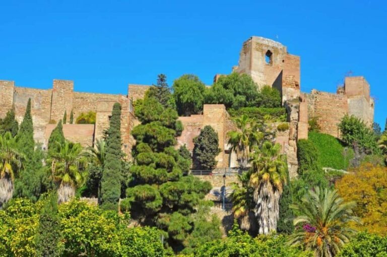 Malaga: Private 2 Hour or Half-Day Sightseeing Tour - Starting Point: Malaga Cathedral