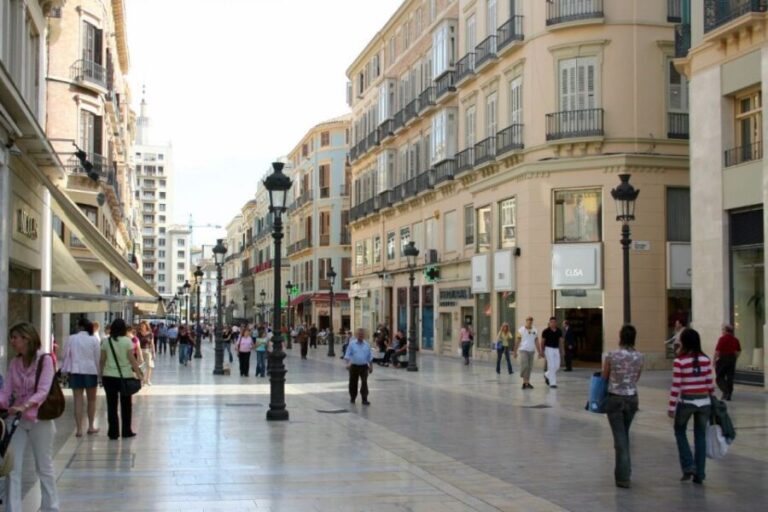 Malaga: Private Plaza de la Merced, City Center, & Port Tour - What to Expect from the Experience
