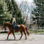 Malaga, Spain: 6-Hour Horseback Adventure with Picnic - The Trail and Its Highlights