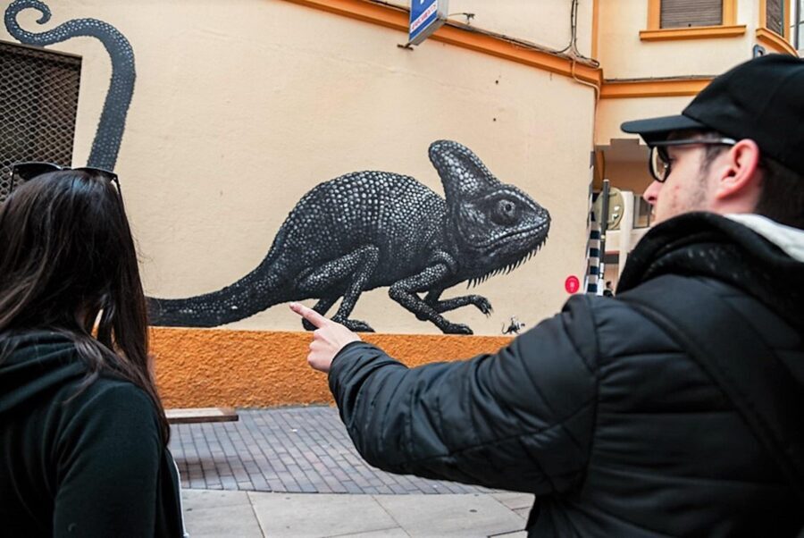 Málaga: Street Art Tour in the Soho District - Real Traveler Insights