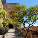 Malaga Super Tour - Who Is This Tour Best For?