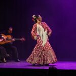 Malaga: Teatro Flamenco Malaga Live Flamenco Show - Who Should Consider This Tour?