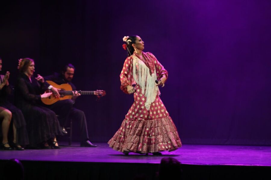 Malaga: Teatro Flamenco Malaga Live Flamenco Show - Who Should Consider This Tour?