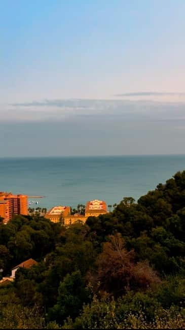 Malaga: Tour in a comfortable, modern, eco-friendly, and socially conscious electric tuk tuk. - What to Expect During the Tour