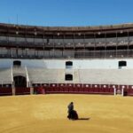 Malaga: Tour of Malagueta Bullring & Immersive Exhibition - Who Is This Tour Best For?