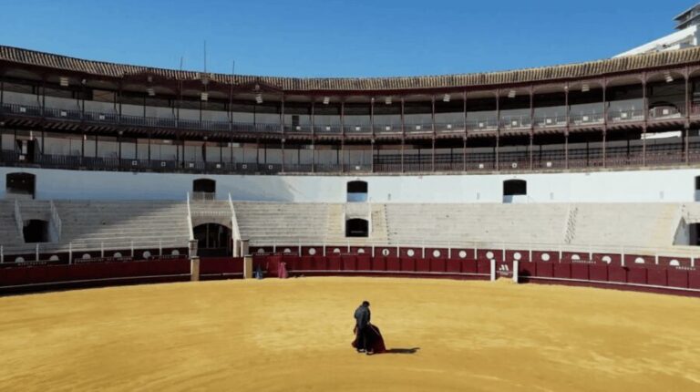 Malaga: Tour of Malagueta Bullring & Immersive Exhibition - Who Is This Tour Best For?