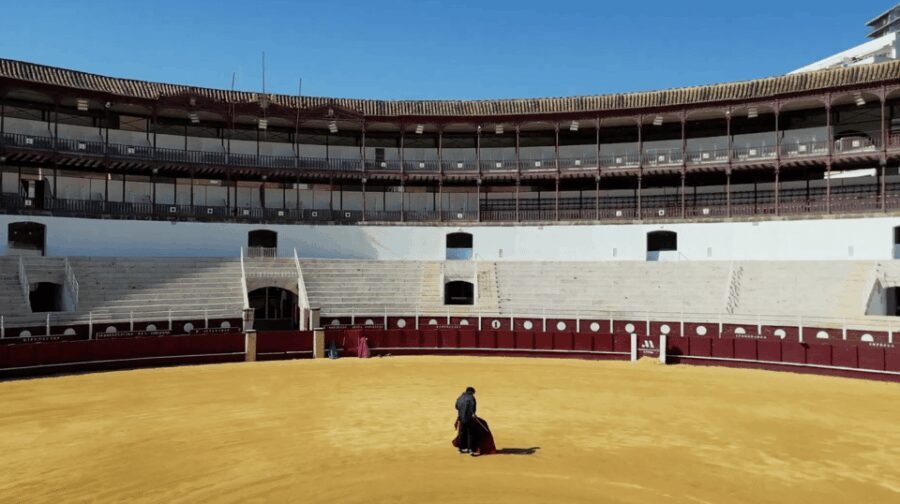 Malaga: Tour of Malagueta Bullring & Immersive Exhibition - Who Is This Tour Best For?