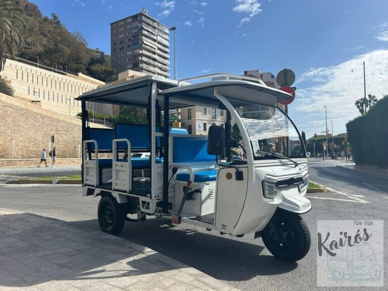 Malaga: Tuk tuk tour - Who Should Consider This Tour?