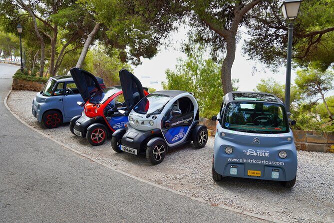 Málaga VIP Tour by Electric Car  Private 5-Hour Experience - Pricing and Value Considerations