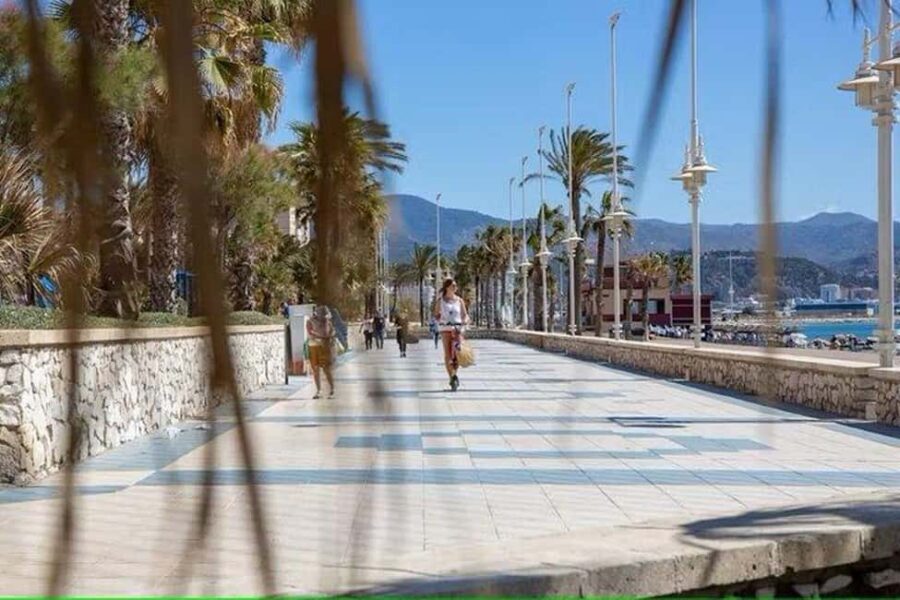 Malaga Walking Tour with Gibralfaro Castle & Alcazaba Visits - What to Expect from the Tour