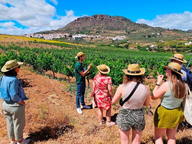 Malaga: White Village, Vineyard, and Wine Tasting Wine Tour - Exploring Álora: A Photo-Worthy Town