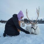 Malangen Sami Camp and Reindeer Experience with Lunch - Analyzing the Value