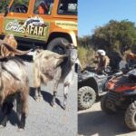 Malia: Off-Road Quad Safari Tour with Lunch and Transfers - The Off-Road Adventure: Scenic and Thrilling