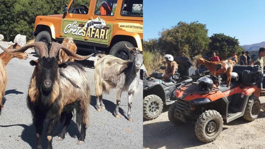 Malia: Off-Road Quad Safari Tour with Lunch and Transfers - The Off-Road Adventure: Scenic and Thrilling