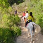 Mallorca: Activity, Antique Mallorca with Picnic - Who Will Enjoy This Tour?