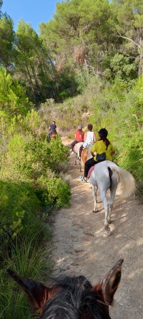 Mallorca: Activity, Antique Mallorca with Picnic - Who Will Enjoy This Tour?