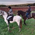 Mallorca: Activity with Horses, Antique Mallorca - The Price and Value