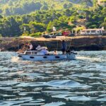 Mallorca: Alcudia, Private Boat Tour to Formentor & Pollensa - Who Should Consider This Tour?