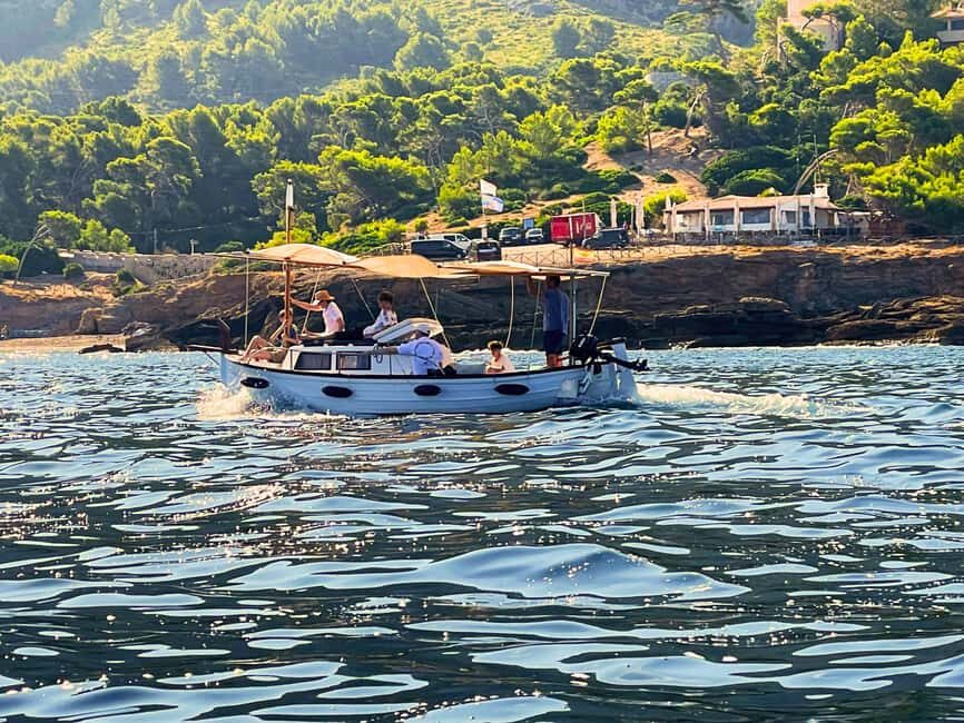 Mallorca: Alcudia, Private Boat Tour to Formentor & Pollensa - Who Should Consider This Tour?